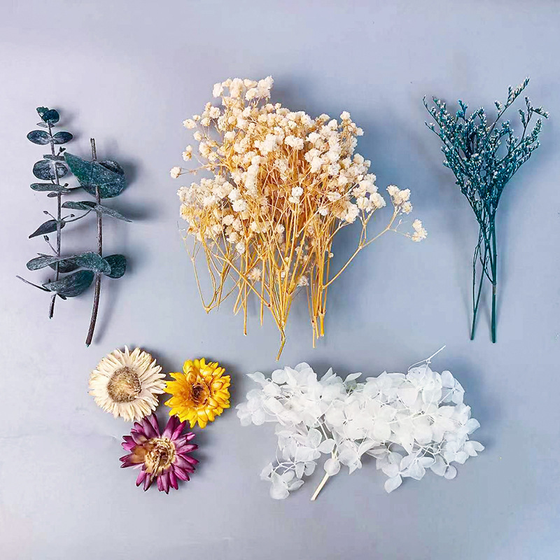 1パック多種多様なドライフラワーセットDIYクラフトホームウ - Craft Embellishments のレビューと価格